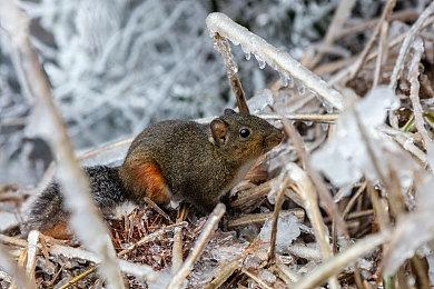新版《城市：天际线》多方面加强下周登陆主机